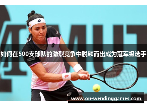 如何在500支球队的激烈竞争中脱颖而出成为冠军级选手