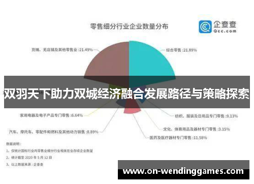 双羽天下助力双城经济融合发展路径与策略探索