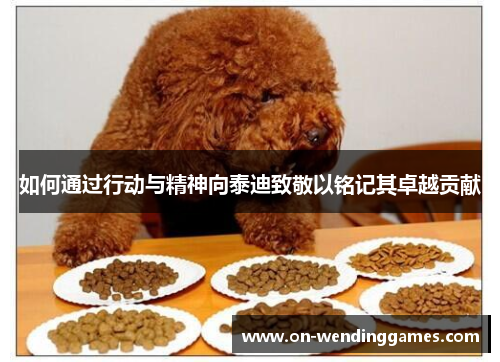 如何通过行动与精神向泰迪致敬以铭记其卓越贡献