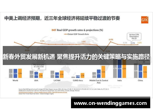 新春外贸发展新机遇 聚焦提升活力的关键策略与实施路径