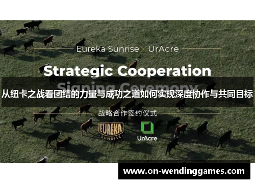 从纽卡之战看团结的力量与成功之道如何实现深度协作与共同目标