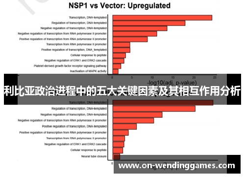 利比亚政治进程中的五大关键因素及其相互作用分析
