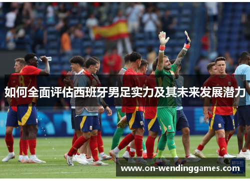 如何全面评估西班牙男足实力及其未来发展潜力