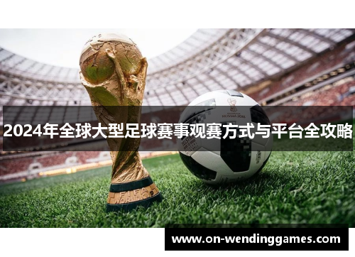 2024年全球大型足球赛事观赛方式与平台全攻略
