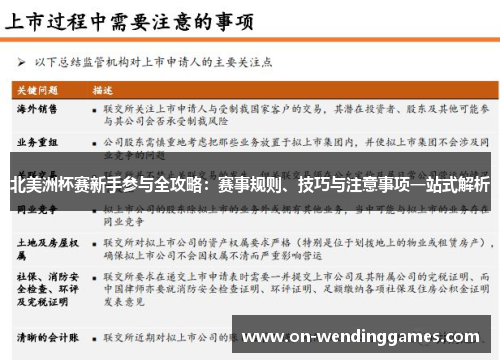 北美洲杯赛新手参与全攻略：赛事规则、技巧与注意事项一站式解析