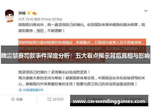 魏震禁赛罚款事件深度分析：五大看点揭示背后真相与影响